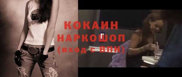 гидра Липки