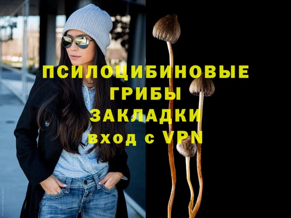 мяу мяу мука Тында