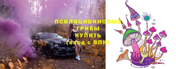гидра Липки
