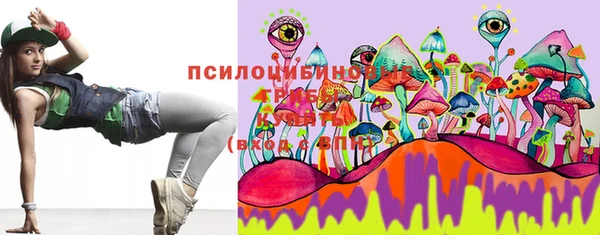 гидра Липки